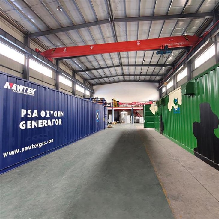Hapniku PSA taim